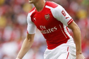 开云体育-南安普顿主场击败强敌，士气大振的简单介绍