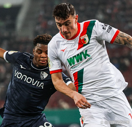 奥格斯堡总汇报  第2张